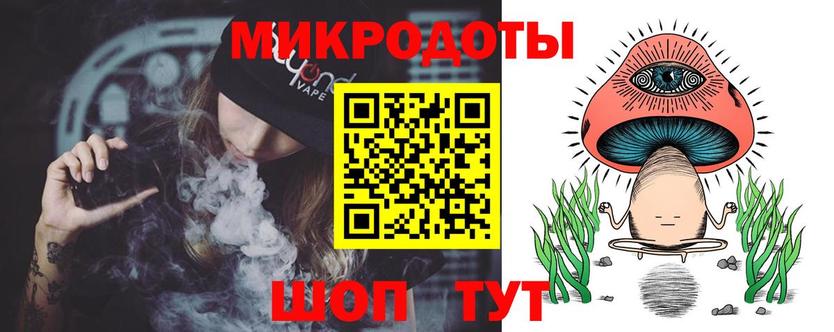 Псилоцибиновые грибы Psilocybe Артём