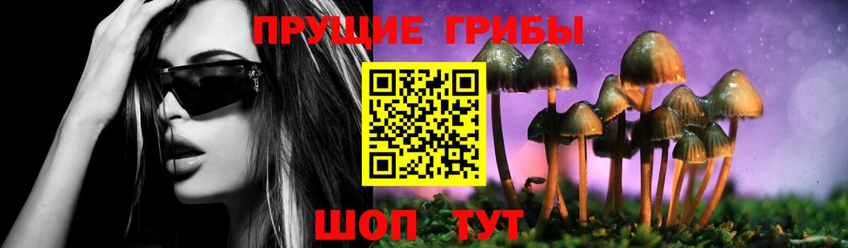 как найти закладки  Псилоцибиновые грибы GOLDEN TEACHER  Вход с VPN  Галлюциногенные грибы Psilocybe  Артём 